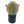 Niko Cray - [Pivot] Snake Head Mouth Piece (2025)(UV)