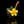 Reyna Rivera Glass - Coconut Drink Bubbler Puffco Proxy Glass Attachment