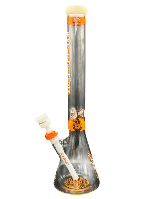 Illadelph - (Orange) (Medium) Beaker (2024)