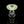 The Real Rich Brian - Color Halo Puffco Proxy Core Glass Mouthpiece