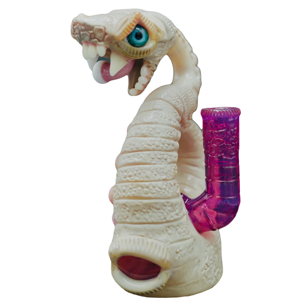 Niko Cray x Salt Glass (2025)