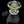 AJ Surf City - Color Accented Puffco Proxy Core Mouthpiece
