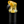 Eternal Flameworks - Colored Puffco Pivot Glass Mouthpiece