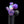 Bellz Glass - Yoshi Puffco Pivot Mouthpiece