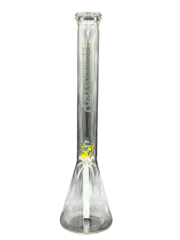 Illadelph - (Blue & Yellow) (Medium) (2024)
