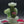 Smiley Glass Garden Bloom Puffco Dry Top Puffco Glass Attachment