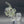 Crysis Designs - Angler Fish Puffco Peak Glass Attachment