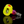 Jng Studios Glass - Joylink Puffco Peak Pro 3DXL Glass Joystick Cap