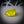 D. Calcified Hand Carved Pendant - Yellow